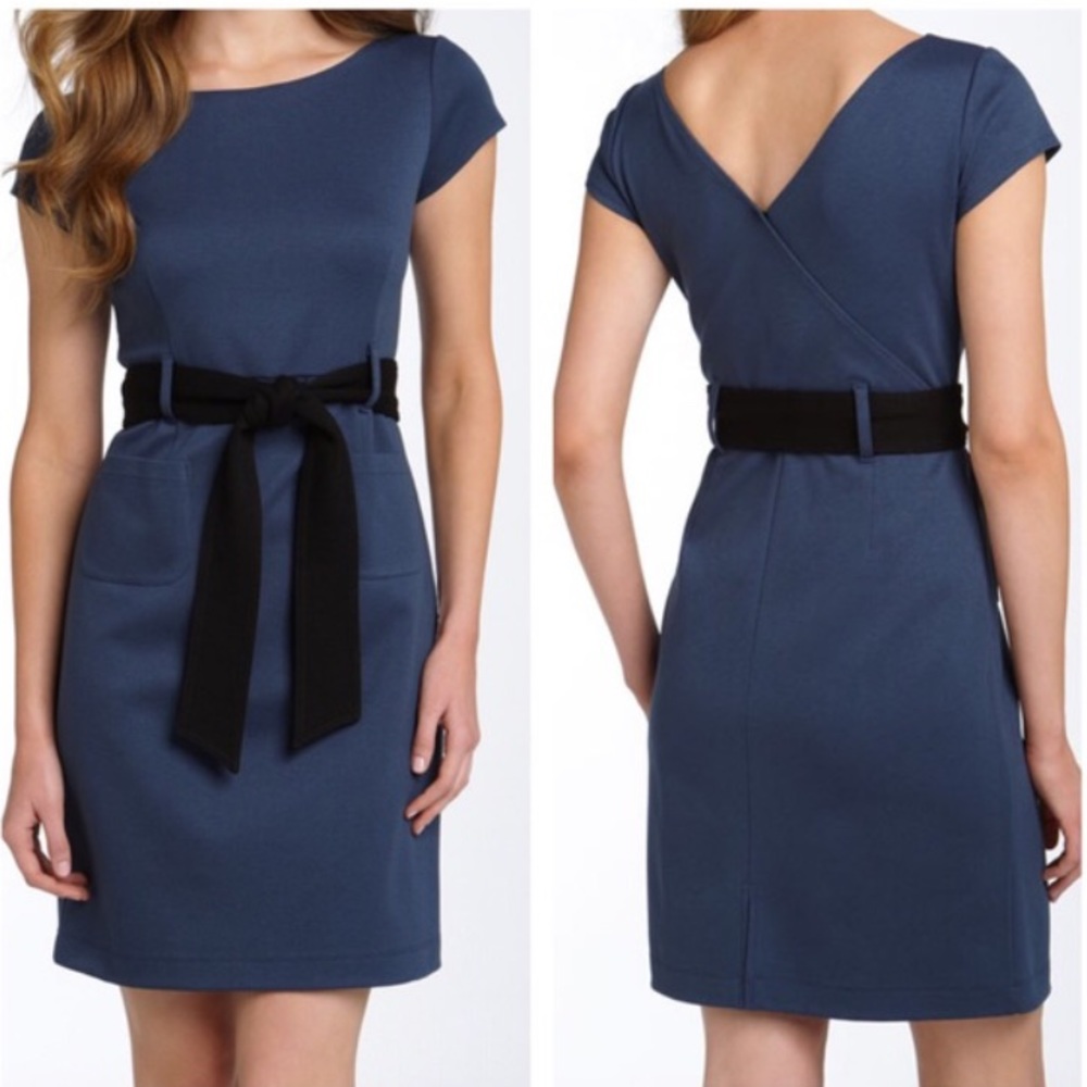 Theory salmona Ponte Knit Dress XS